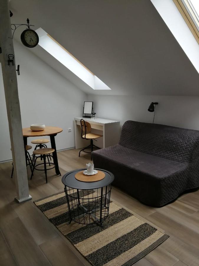Studio Apartman Hana Apartment Dreznik Grad Exterior photo