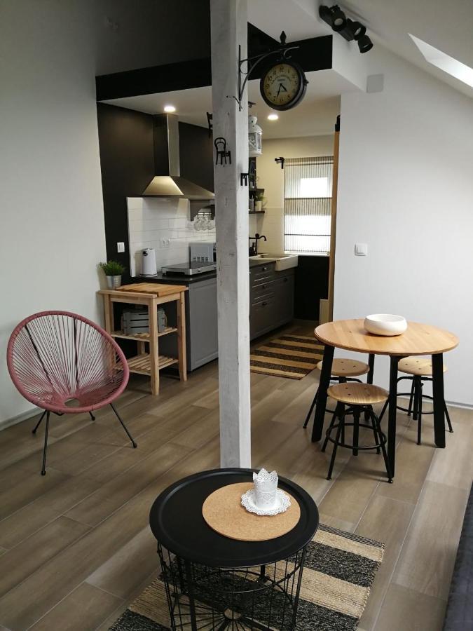 Studio Apartman Hana Apartment Dreznik Grad Exterior photo