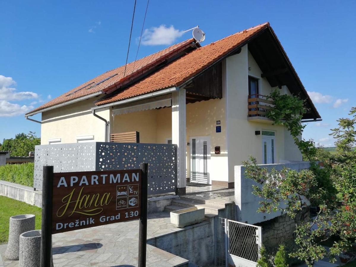 Studio Apartman Hana Apartment Dreznik Grad Exterior photo