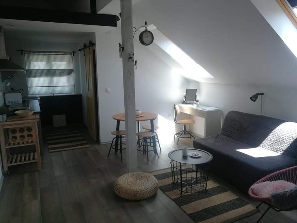 Studio Apartman Hana Apartment Dreznik Grad Exterior photo