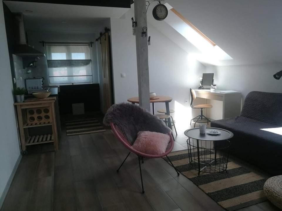 Studio Apartman Hana Apartment Dreznik Grad Exterior photo